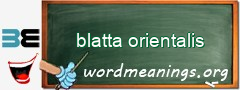 WordMeaning blackboard for blatta orientalis